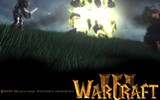 Warcraft3